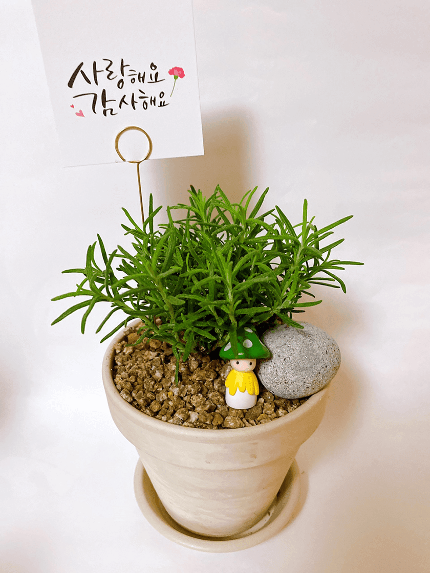 가드닝 클래스 진행 사진 2