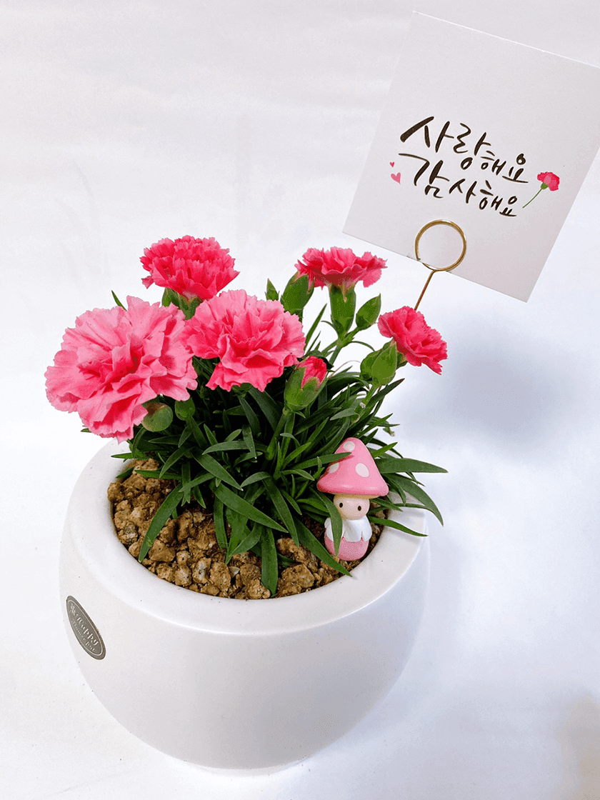 가드닝 클래스 진행 사진 2
