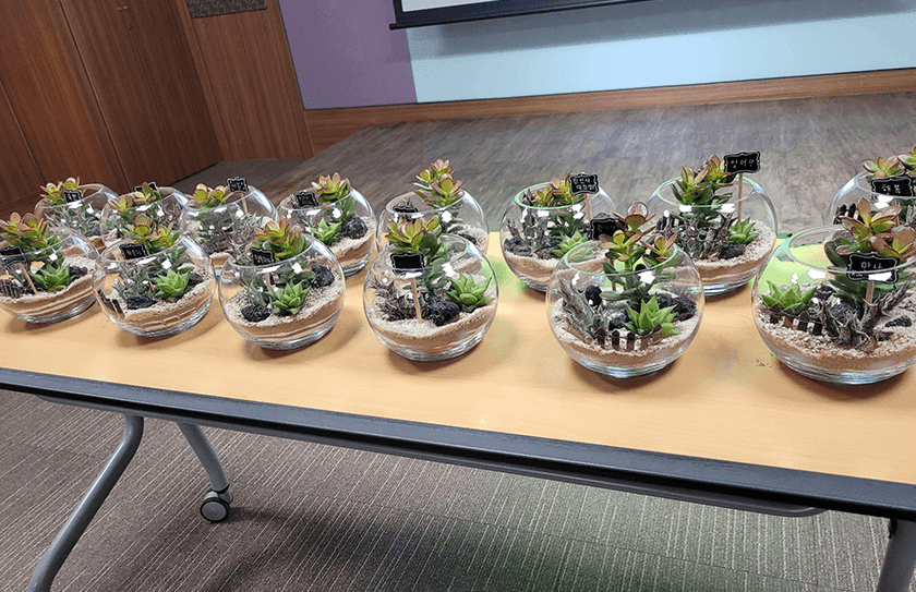 다육이 화분 상품 이미지 4