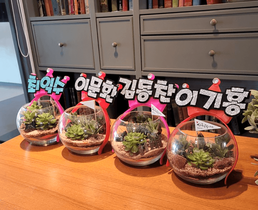 다육이 화분 상품 이미지 5