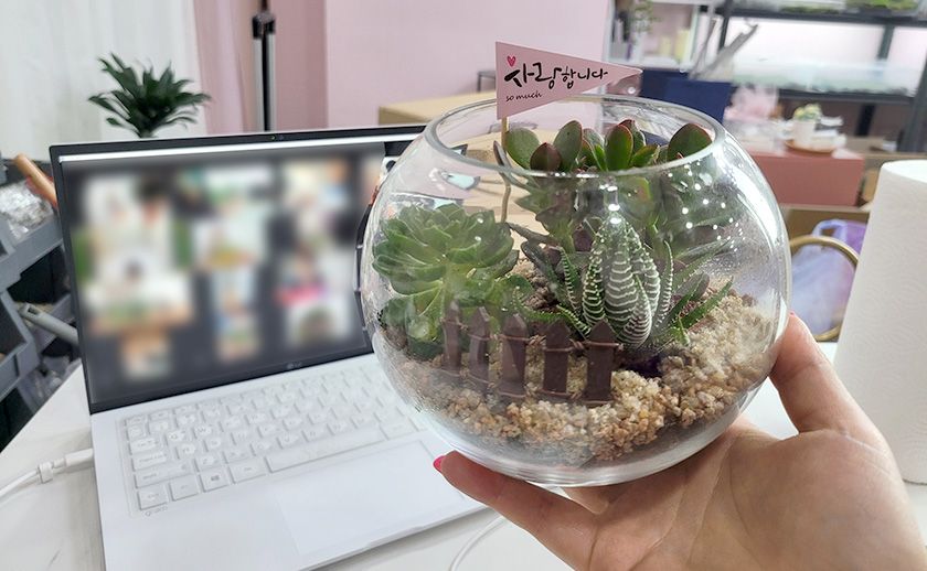 다육이 화분 상품 이미지 6