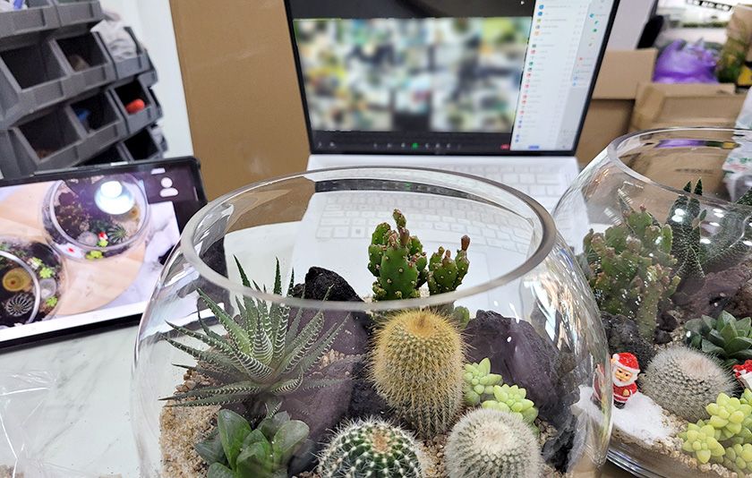 다육이 화분 상품 이미지 7