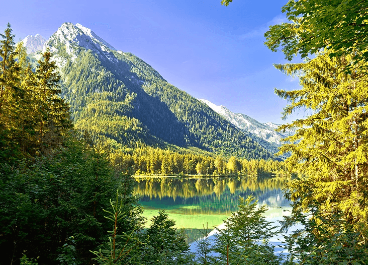 도슨트와 함께하는 독일 여행 상품 이미지 4