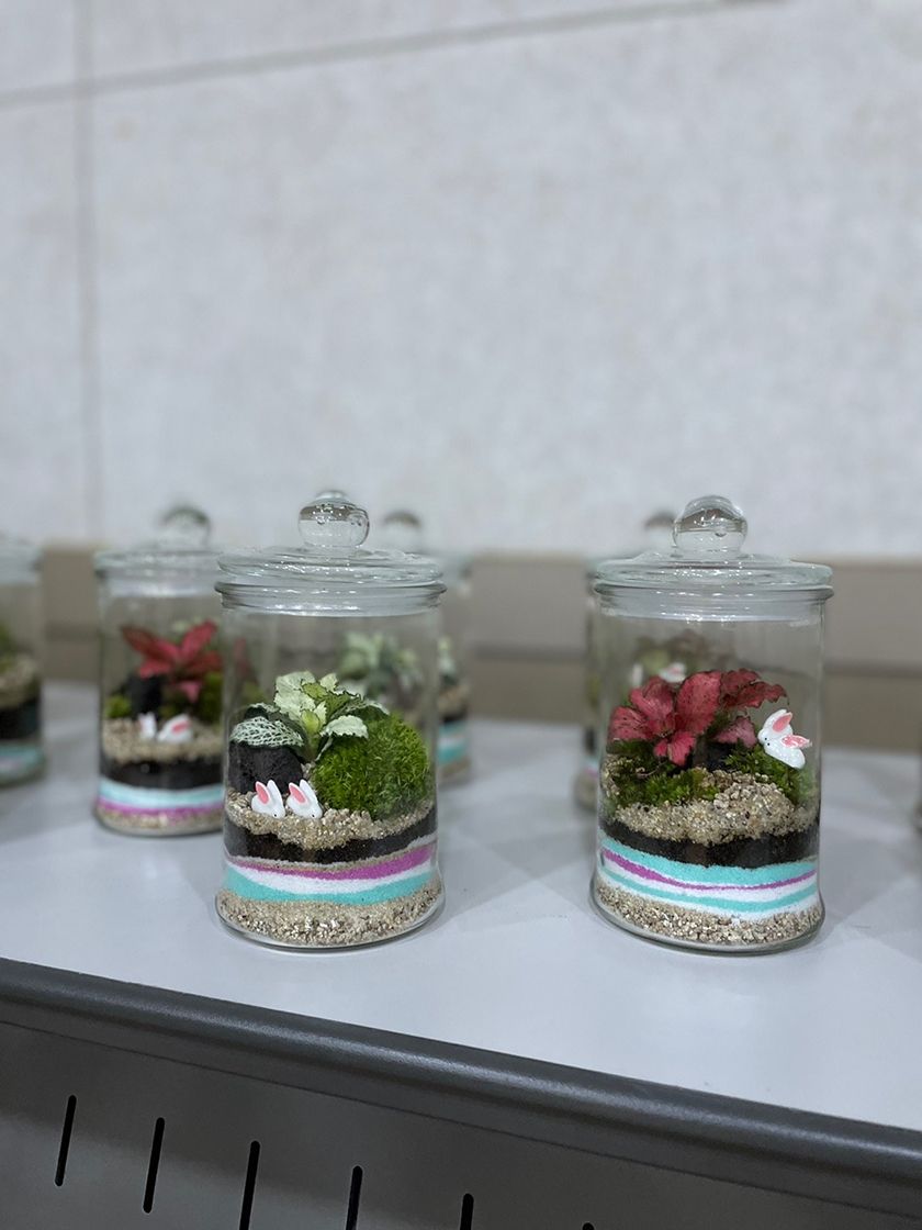 이끼 테라리움 진행 사진 3