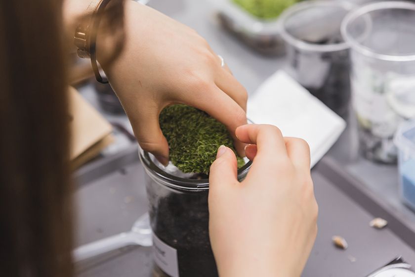 이끼 테라리움 상품 이미지 5