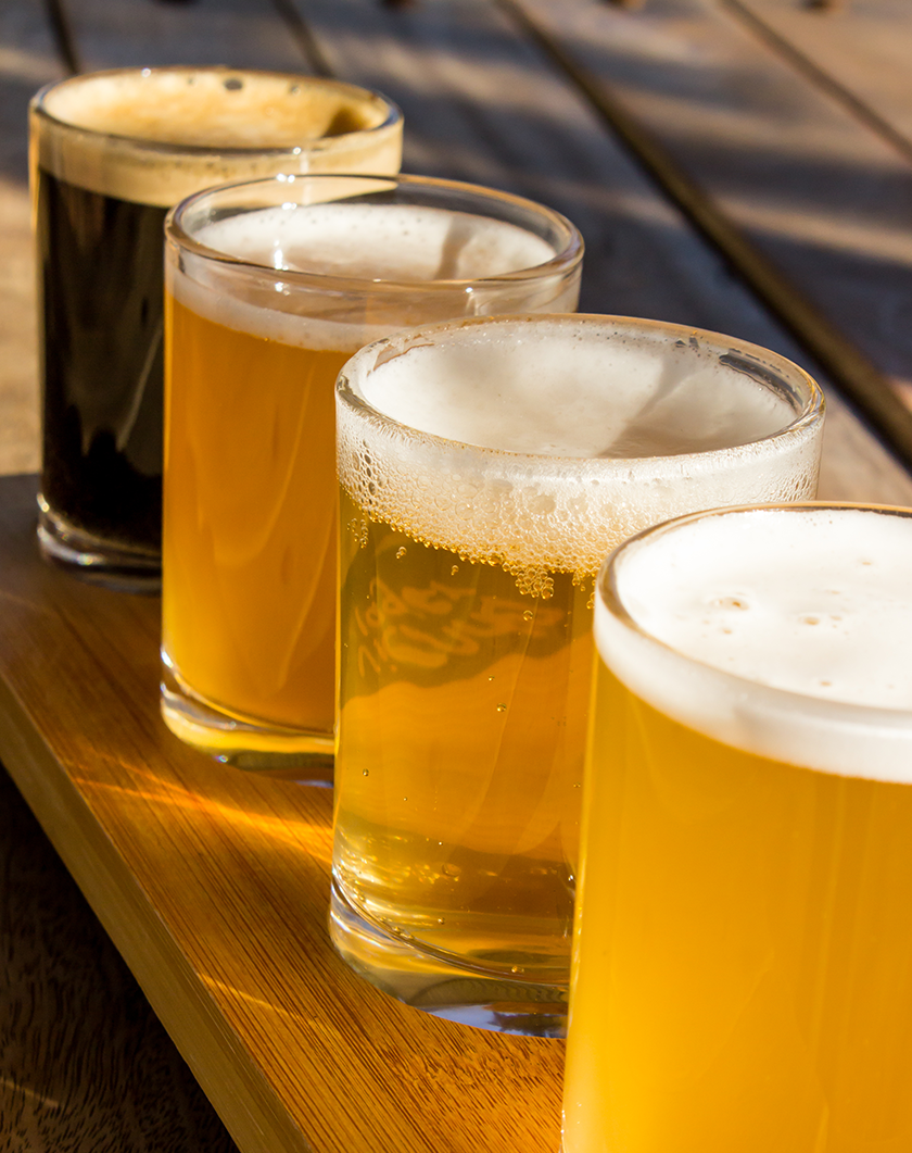 맥주 인문학-image-4