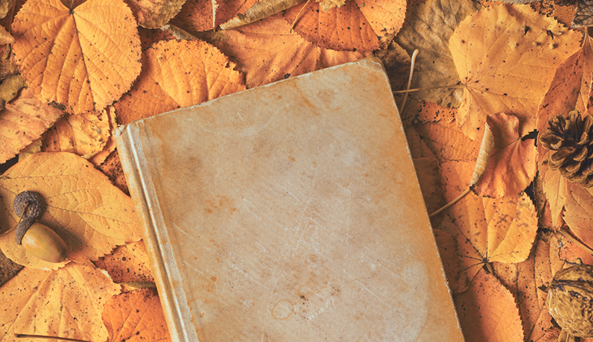 5주 만에 내 책 쓰기-image-3