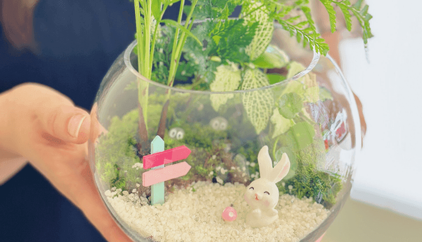 관엽식물 테라리움 상품 이미지 5