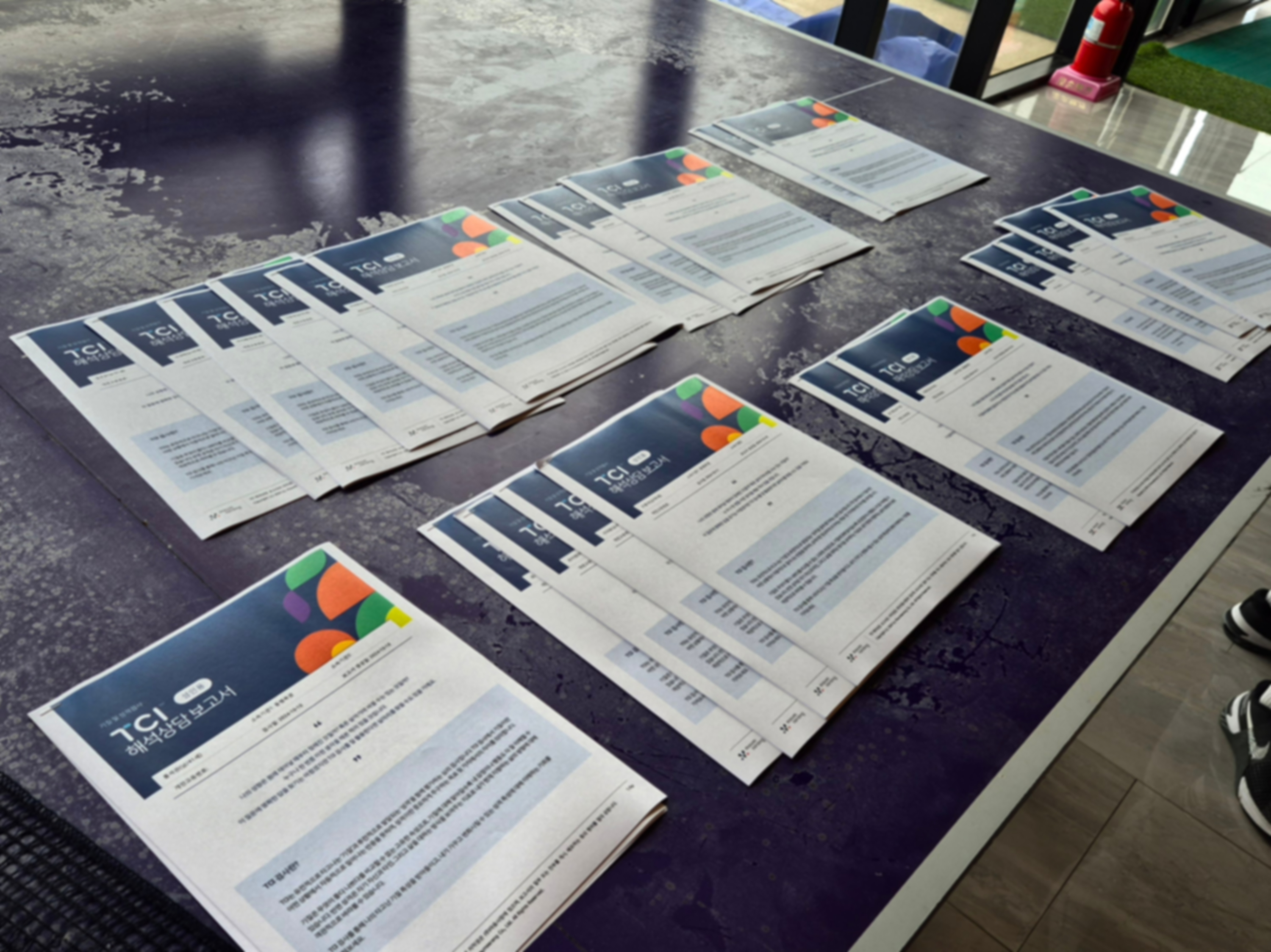 TCI기질성격검사 활용 팀빌딩 및 조직활성화 워크샵-image-2