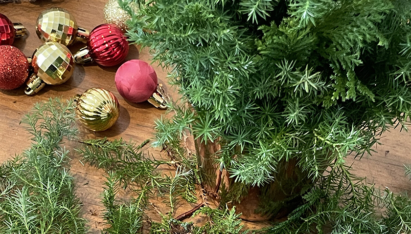 크리스마스 콘트리-image-4