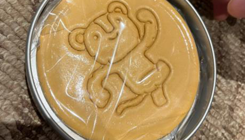 최고의 팀빌딩 미션, 오징어게임2-image-4