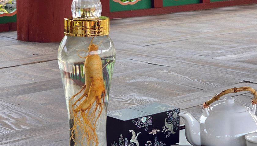 테이블 매너와 담금주 테이스팅-image-3