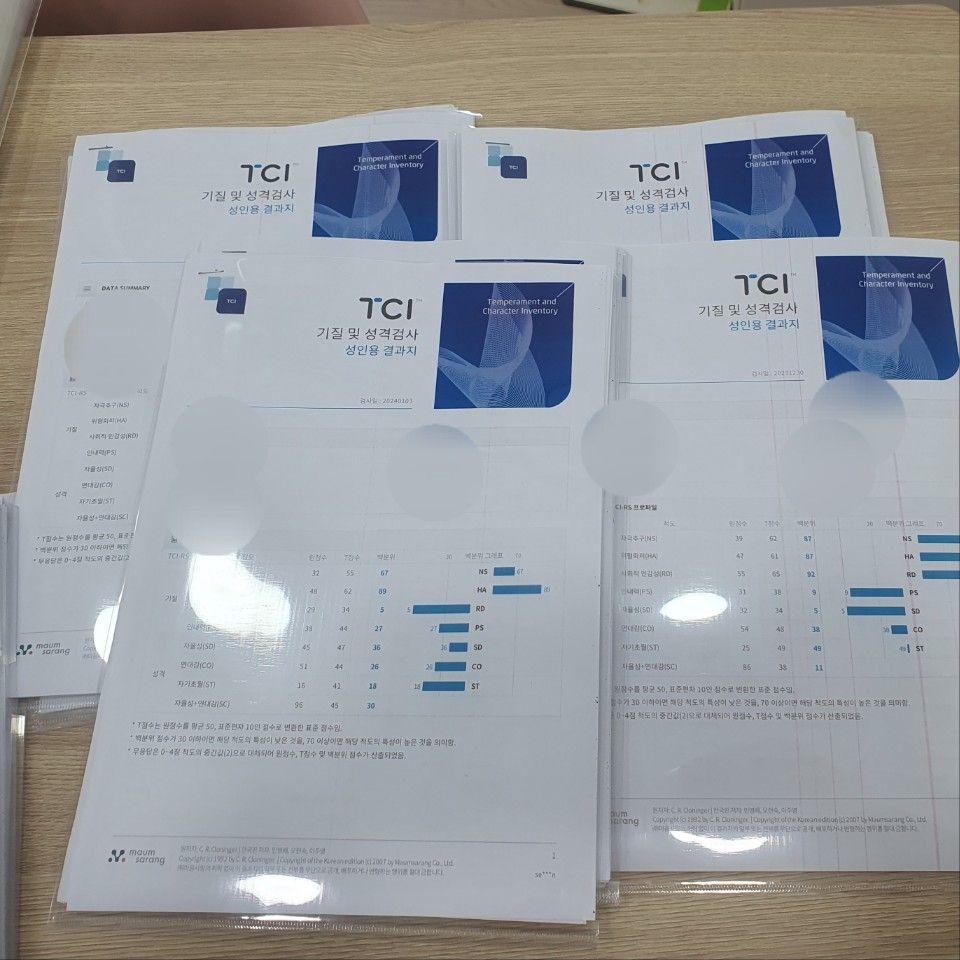 우리 팀의 기질과 성격, TCI 검사 진행 사진 3