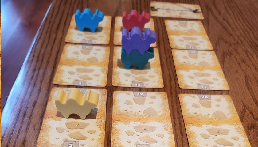 사막에서 살아남기 '카멜업' 상품 이미지 3