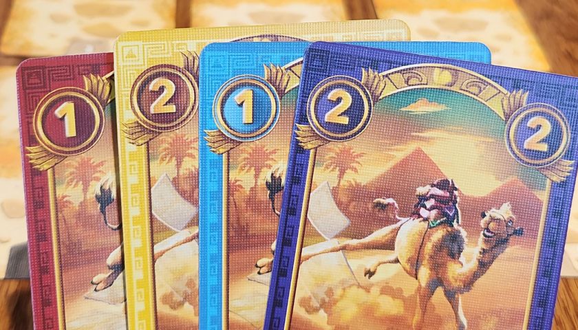 사막에서 살아남기 '카멜업' 상품 이미지 5