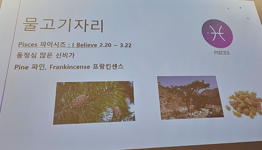 별자리 아로마 테라피 진행 사진 3