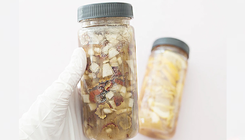 수제 건강청-image-3