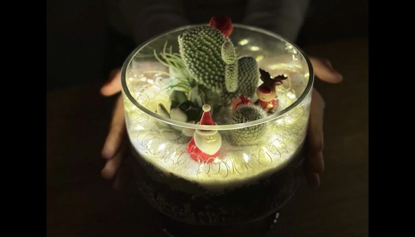 크리스마스 다육이 테라리움 진행 사진 1