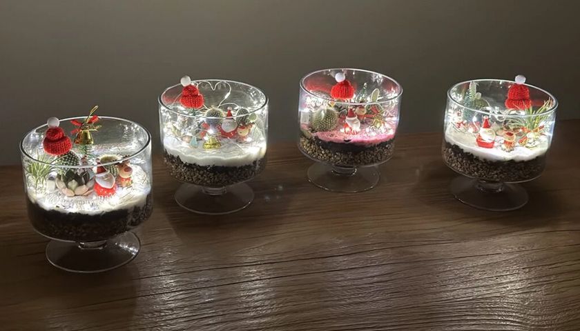 크리스마스 다육이 테라리움 상품 이미지 3