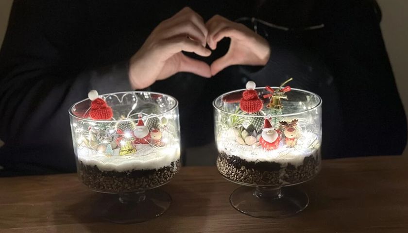 크리스마스 다육이 테라리움 상품 이미지 5