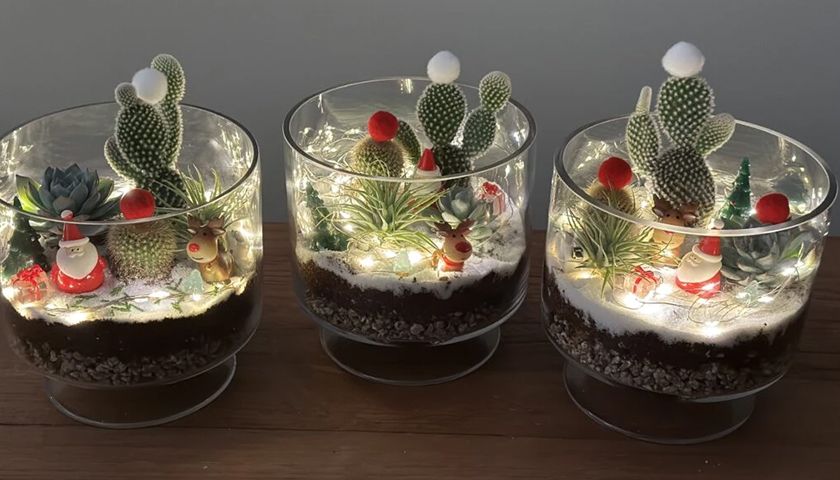 크리스마스 다육이 테라리움 상품 이미지 7