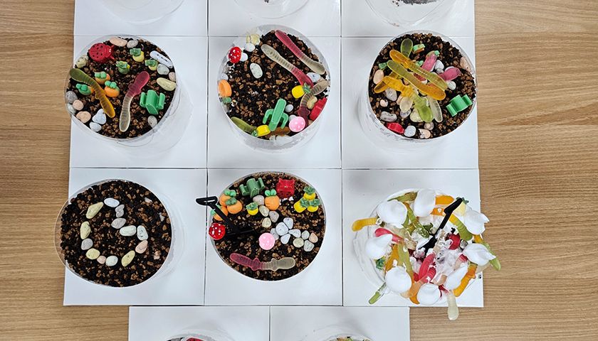 내 마음을 표현하는 텃밭케이크 진행 사진 2