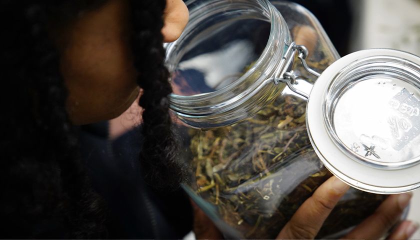 한방차 시음과 내 몸에 맞는 약초 사용법 상품 이미지 6