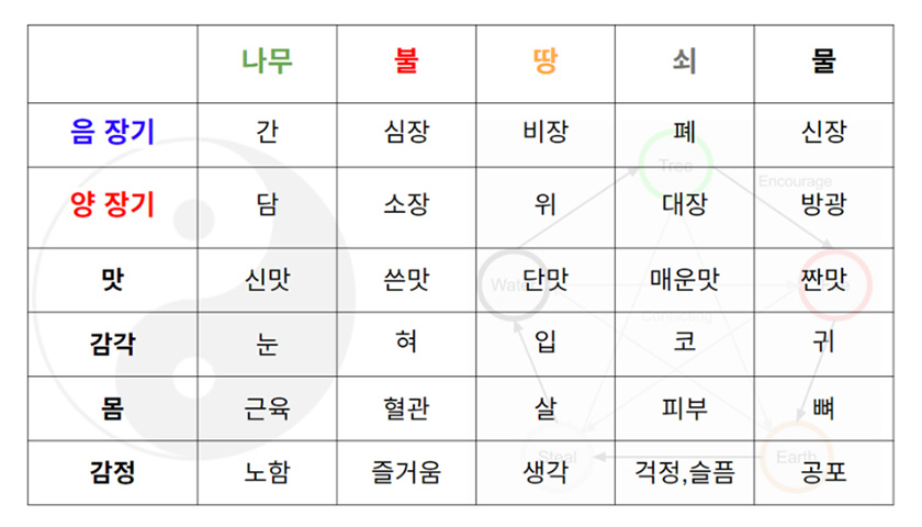 한방차 시음과 내 몸에 맞는 약초 사용법 상품 이미지 8