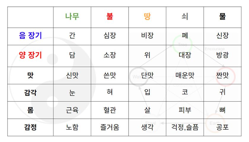 한방차 시음과 내 몸에 맞는 약초 사용법 상품 이미지 8
