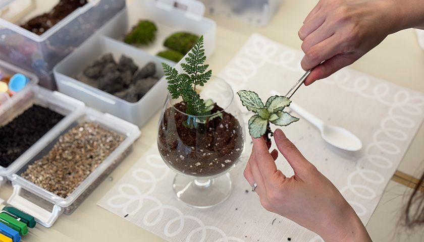 마음 가꾸는 와인 테라리움 만들기 상품 이미지 8