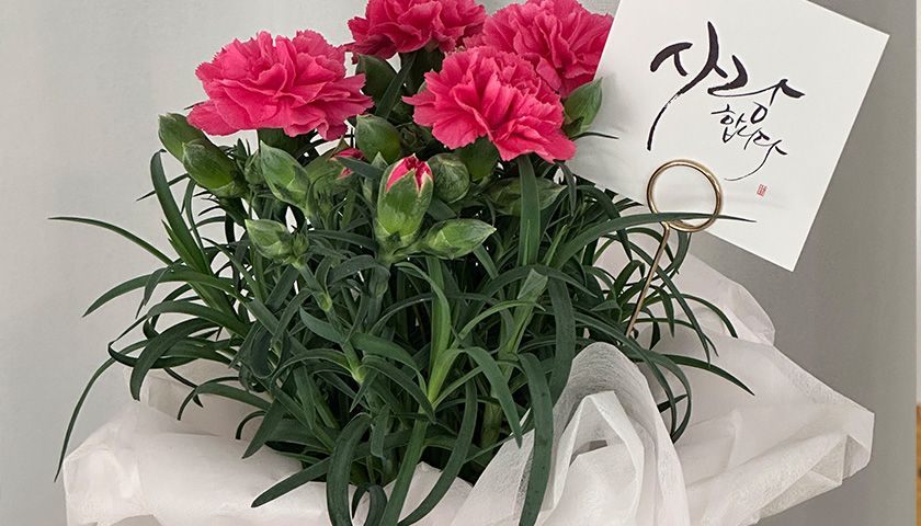 봄여름 생화 꽃 가드닝 클래스 상품 이미지 4