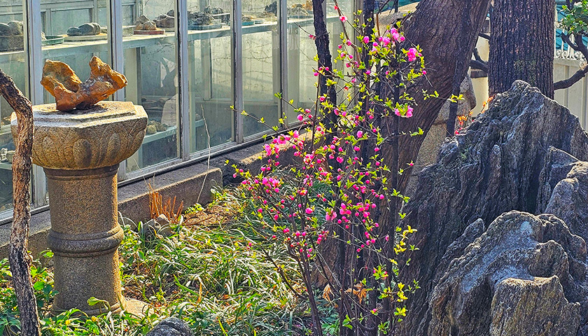 색다르게 즐기는 서울, 서촌 탐방-image-3