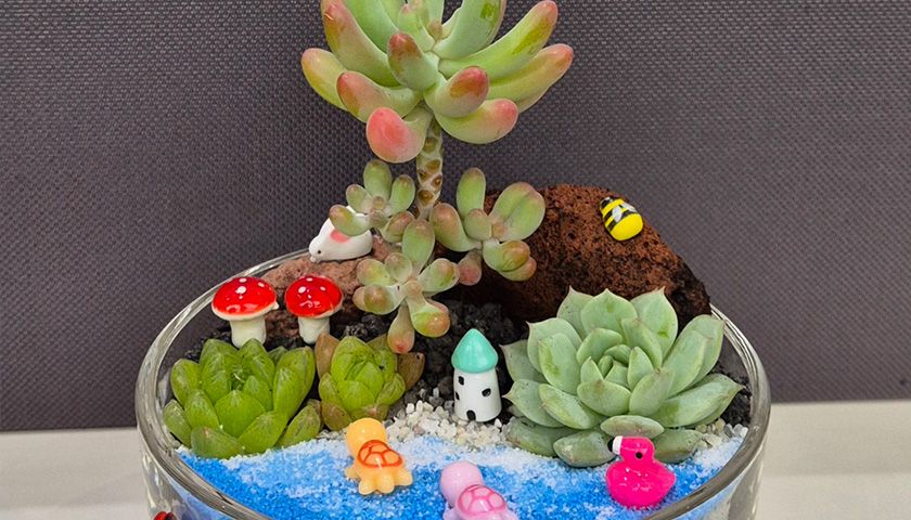 컬러테라피와 다육이 테라리움 상품 이미지 2