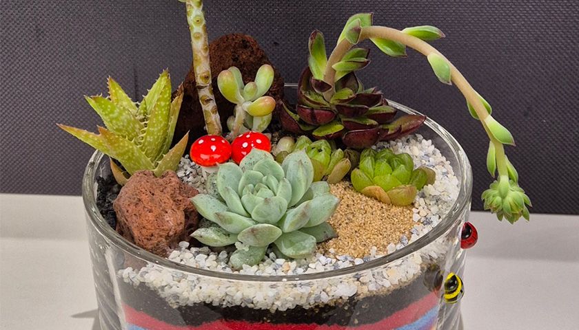 컬러테라피와 다육이 테라리움 진행 사진 2