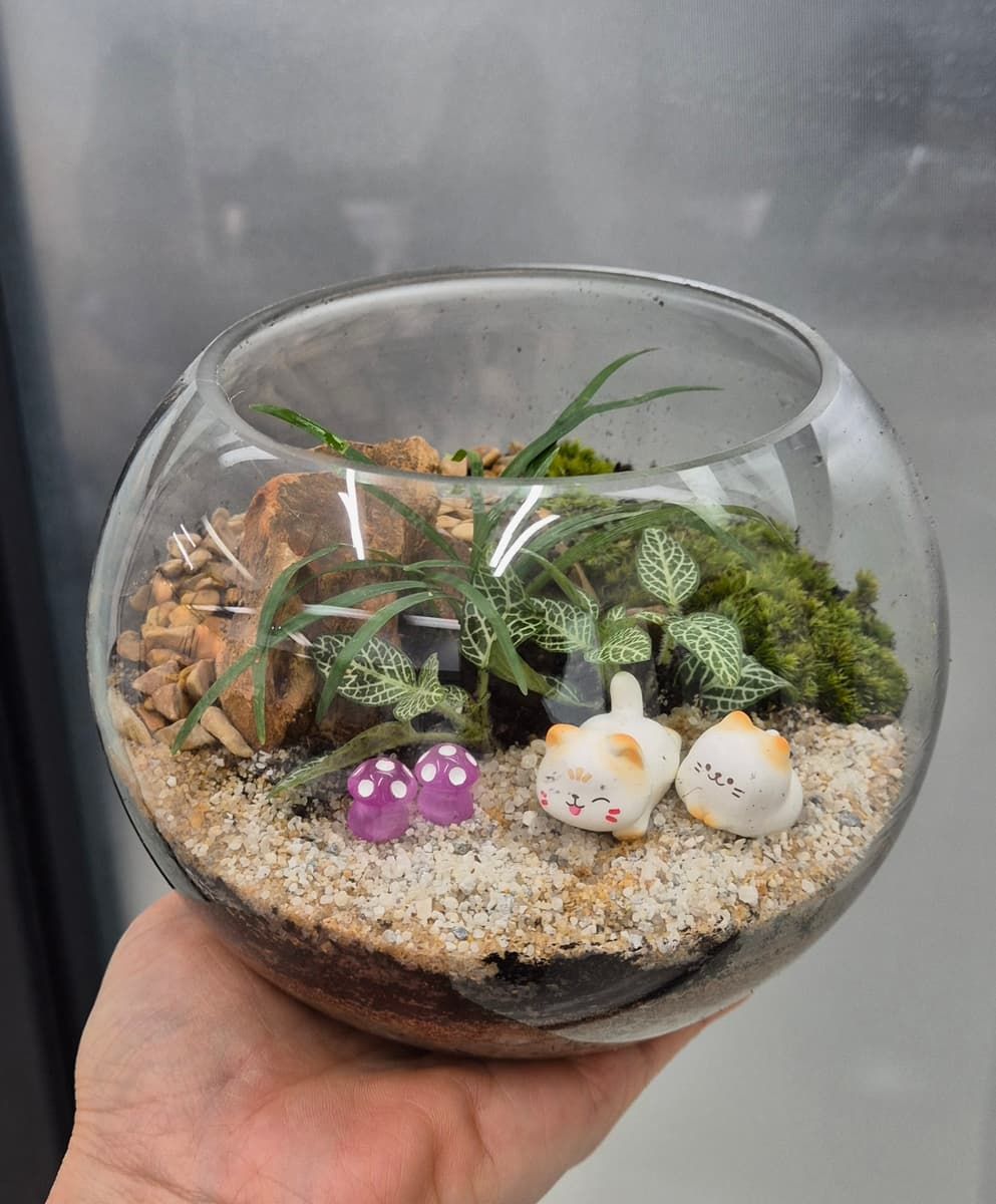 나의 작은 정원, 이끼 테라리움 진행 사진 2