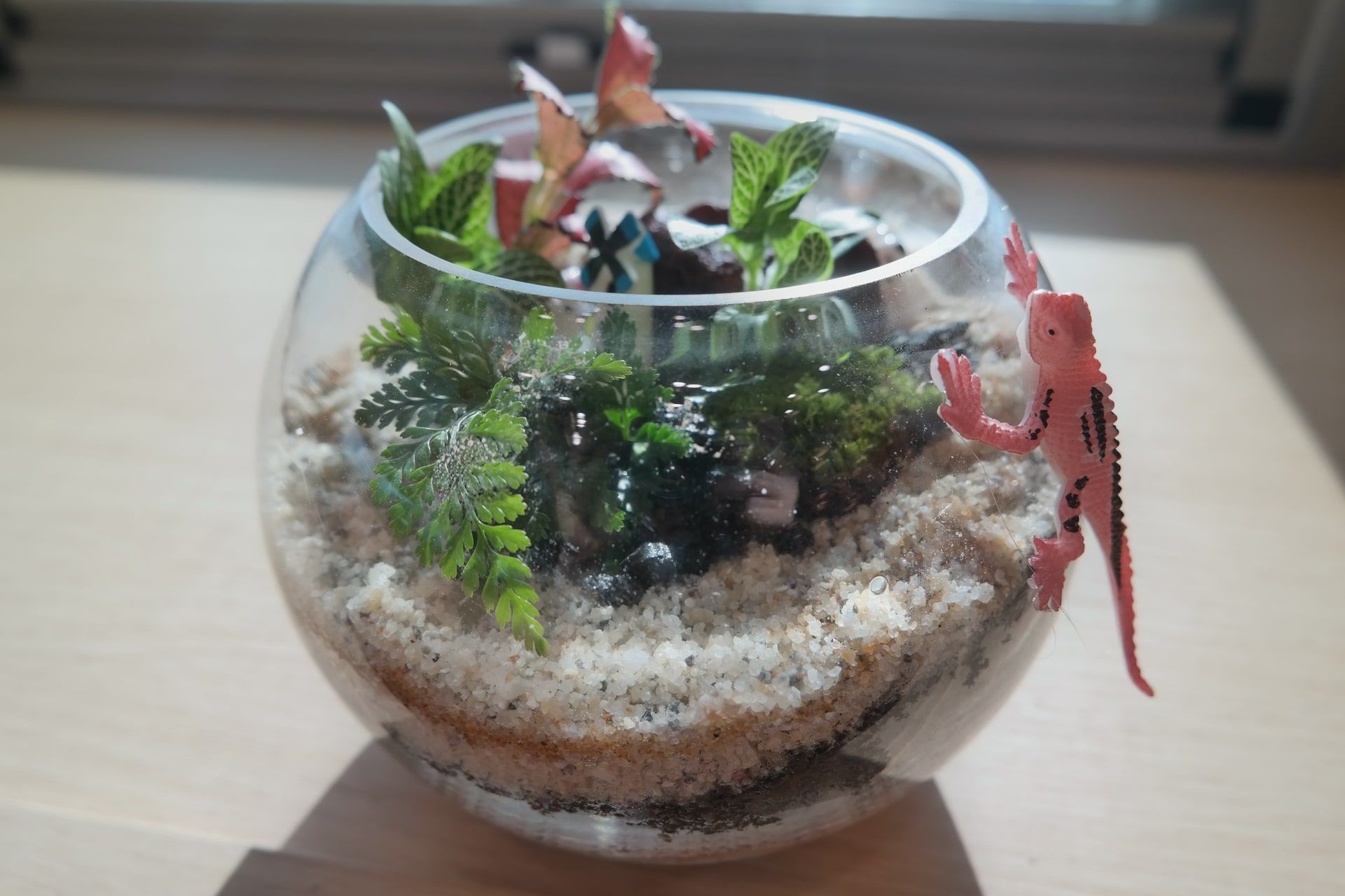 나의 작은 정원, 이끼 테라리움 상품 이미지 4