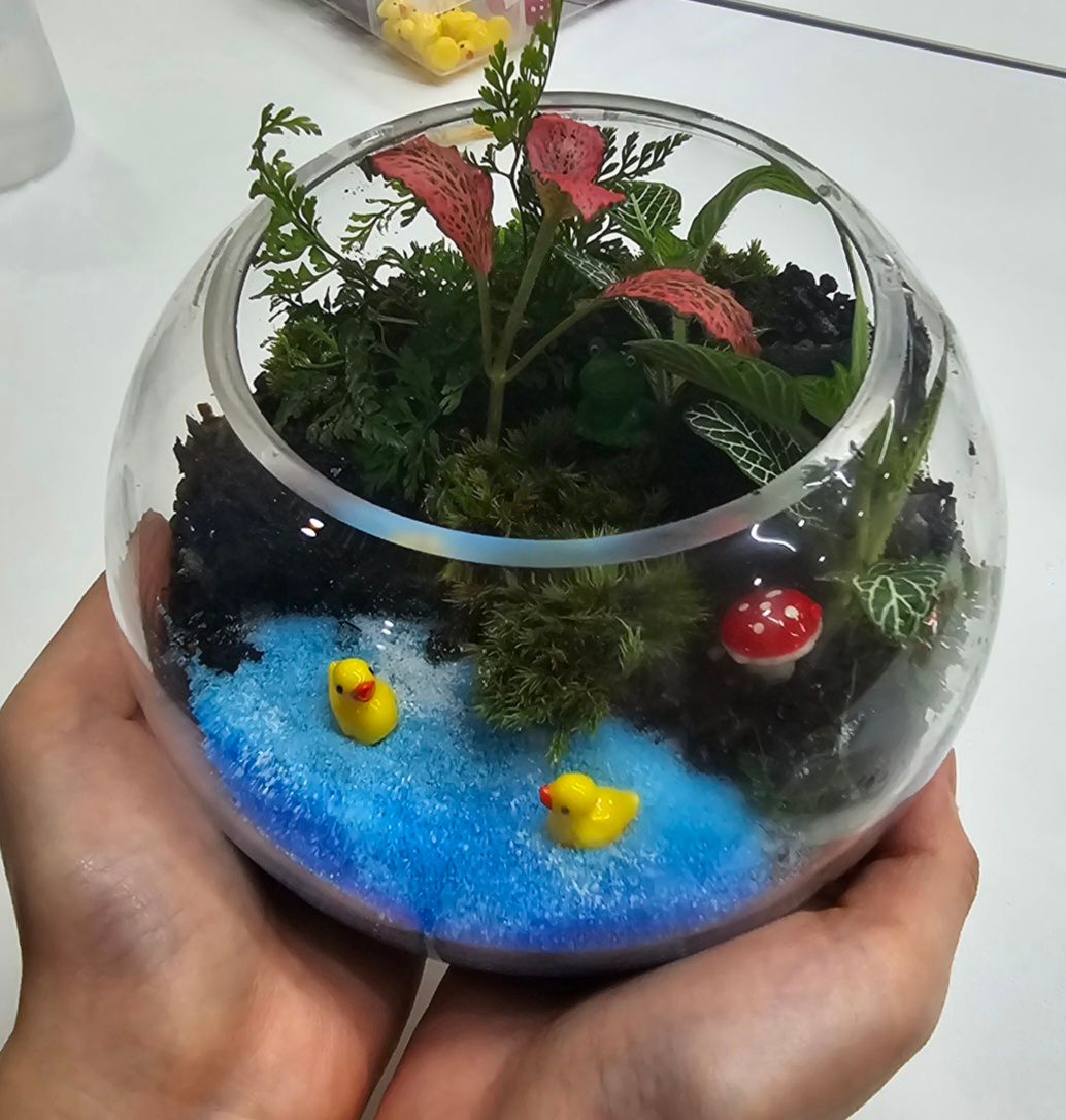 나의 작은 정원, 이끼 테라리움 상품 이미지 5