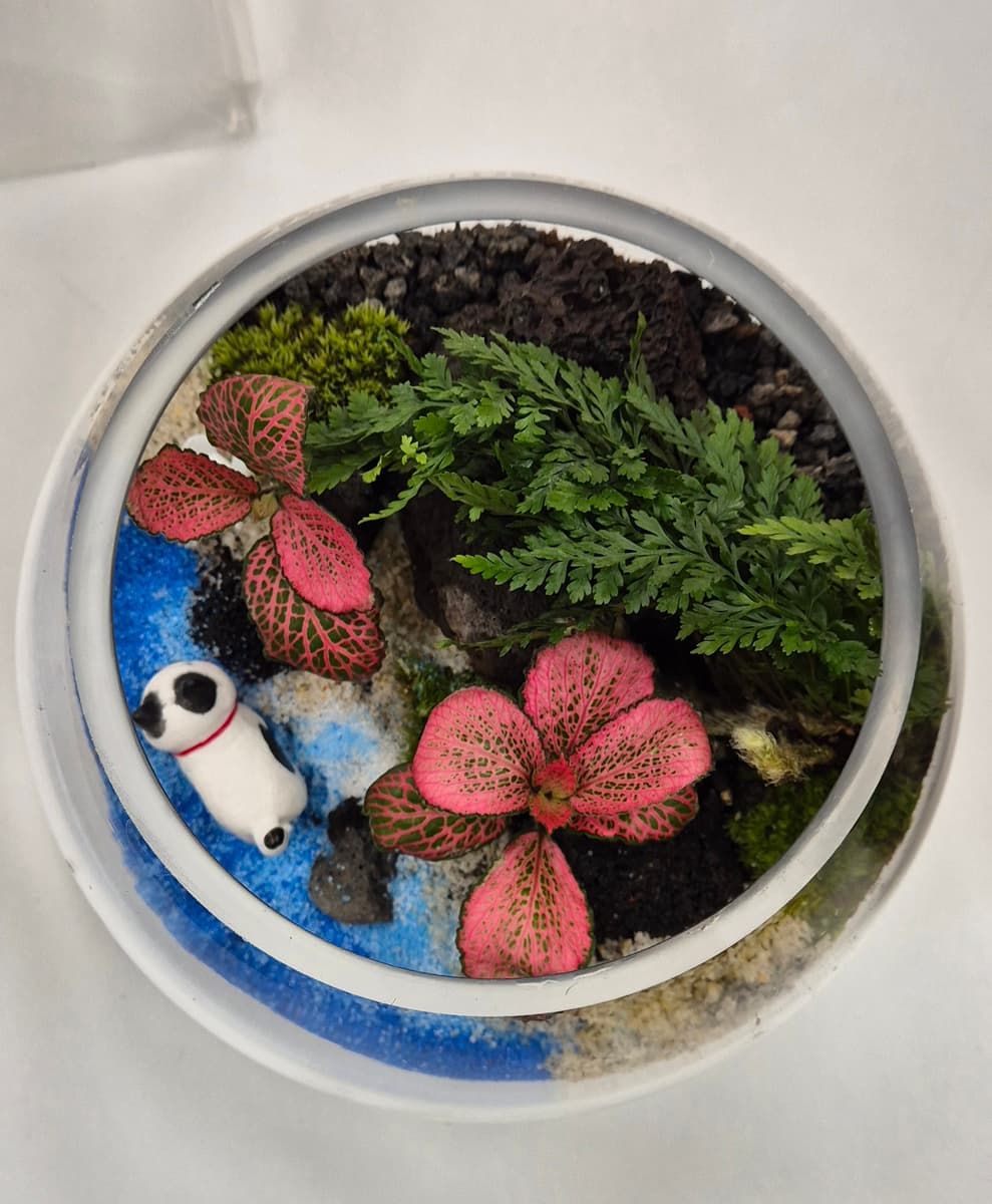 나의 작은 정원, 이끼 테라리움 상품 이미지 6