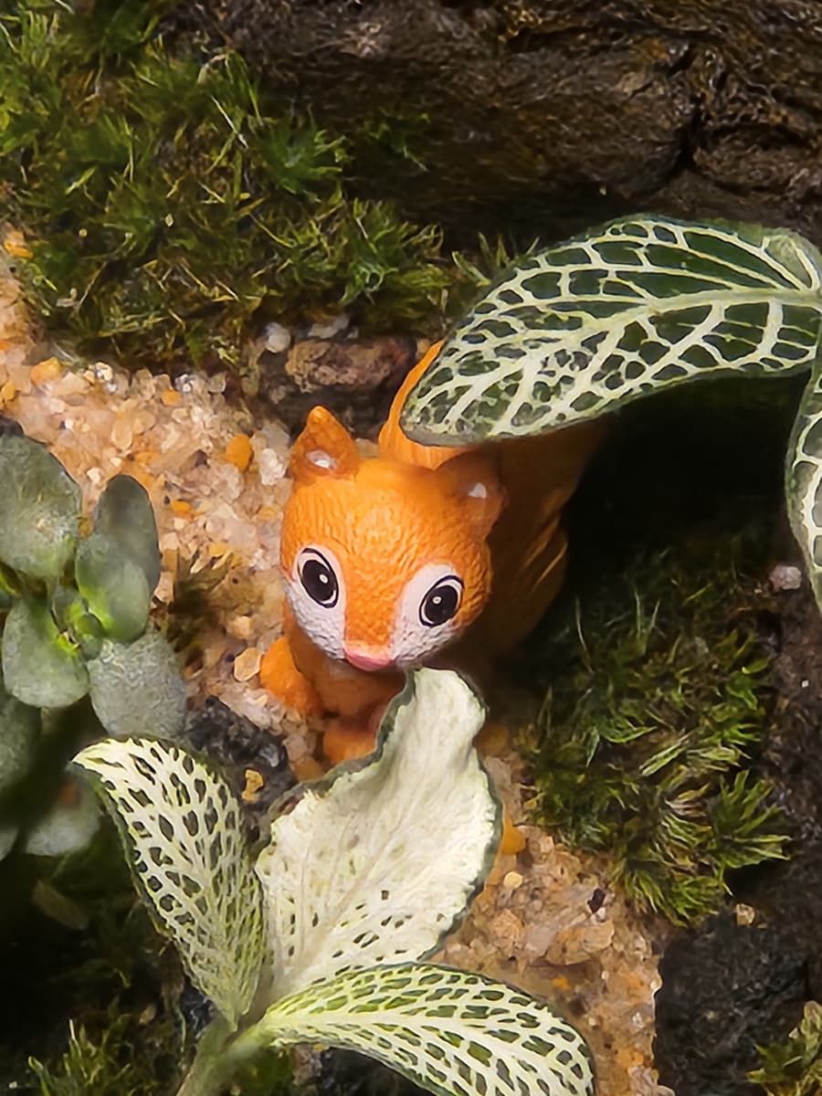 나의 작은 정원, 이끼 테라리움 상품 이미지 8