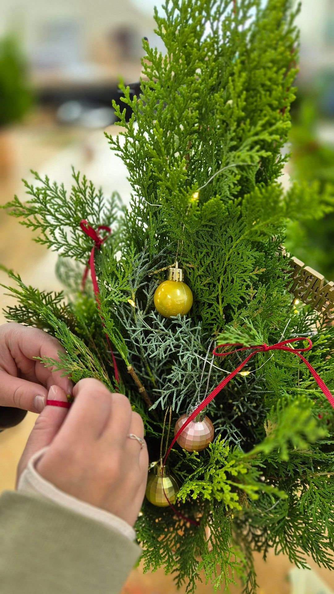 크리스마스 천연 미니 트리 상품 이미지 3