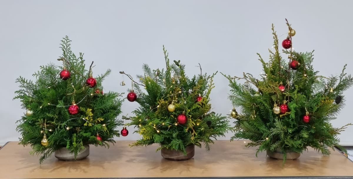 크리스마스 천연 미니 트리 상품 이미지 4