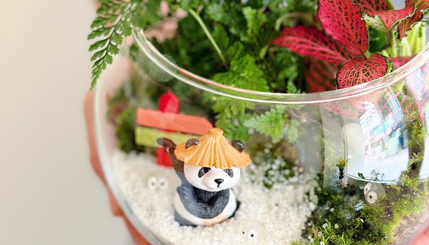 관엽식물 테라리움 썸네일