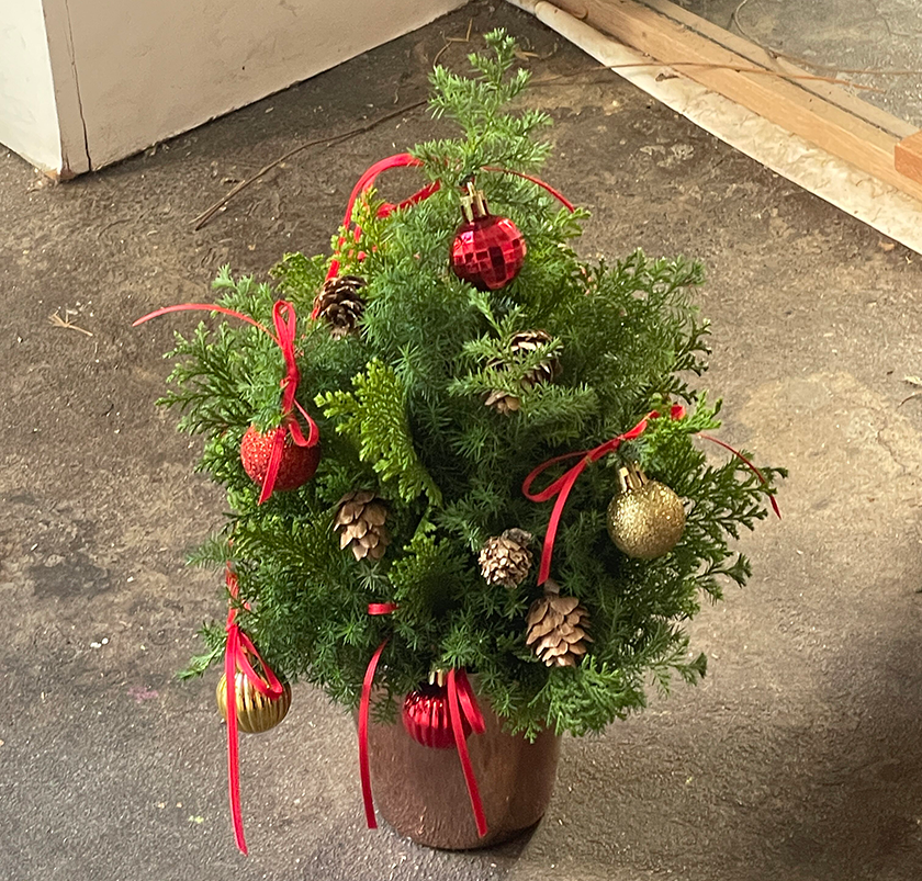 크리스마스 콘트리-image-0