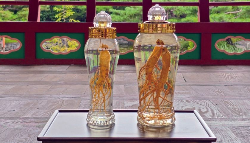 테이블 매너와 담금주 테이스팅-image-0