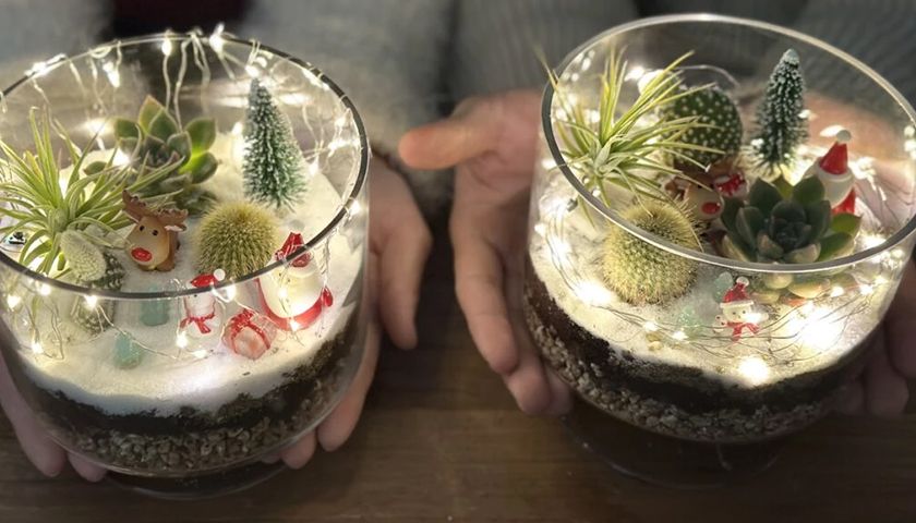 크리스마스 다육이 테라리움 상품 이미지 1