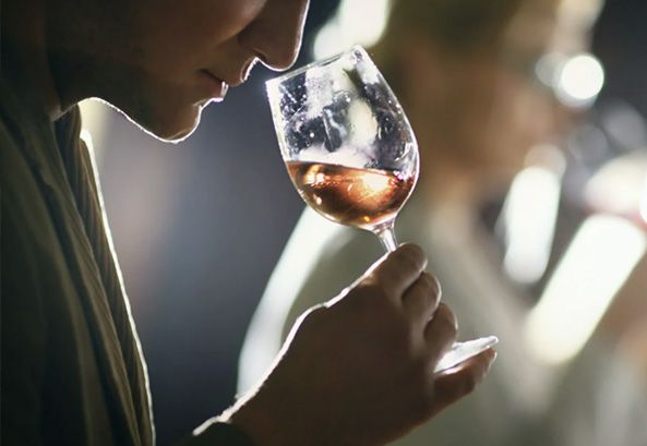 색다른 테이스팅의 세계, 와인 아로마-image-0