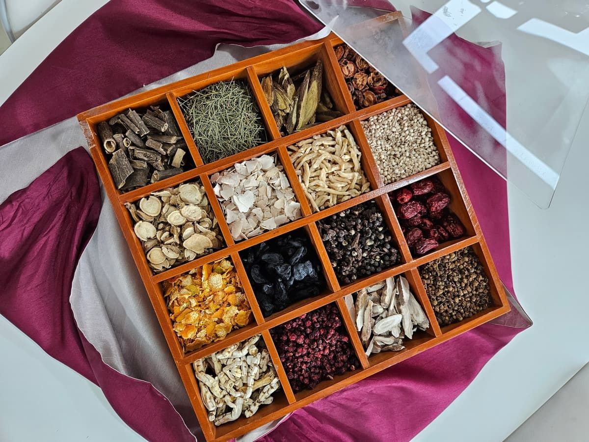 한방차 시음과 내 몸에 맞는 약초 사용법