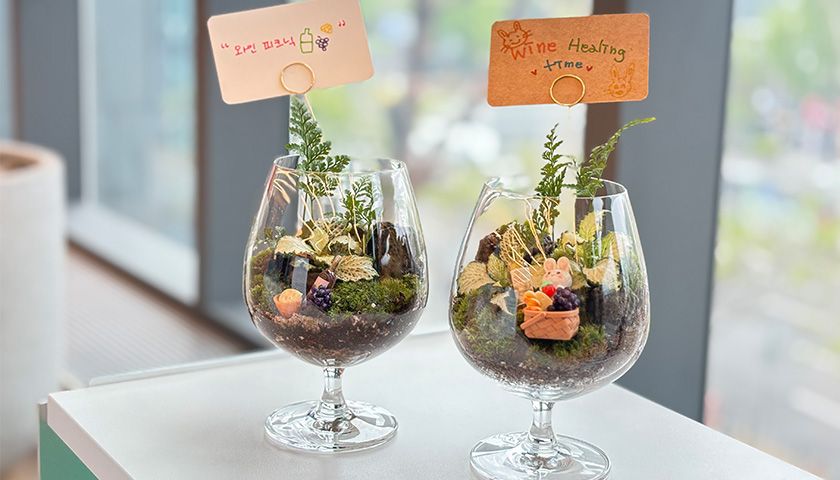 마음 가꾸는 와인 테라리움 만들기