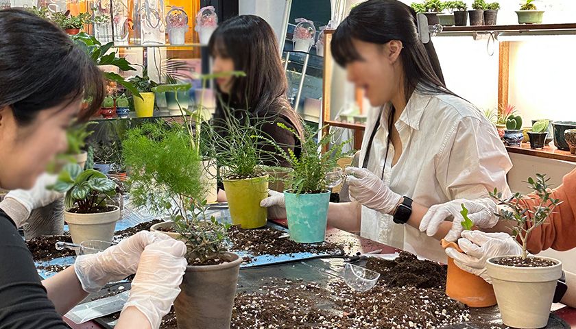 봄여름 생화 꽃 가드닝 클래스 상품 이미지 1