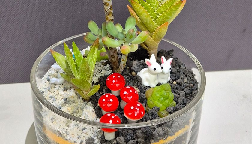 컬러테라피와 다육이 테라리움 상품 이미지 1